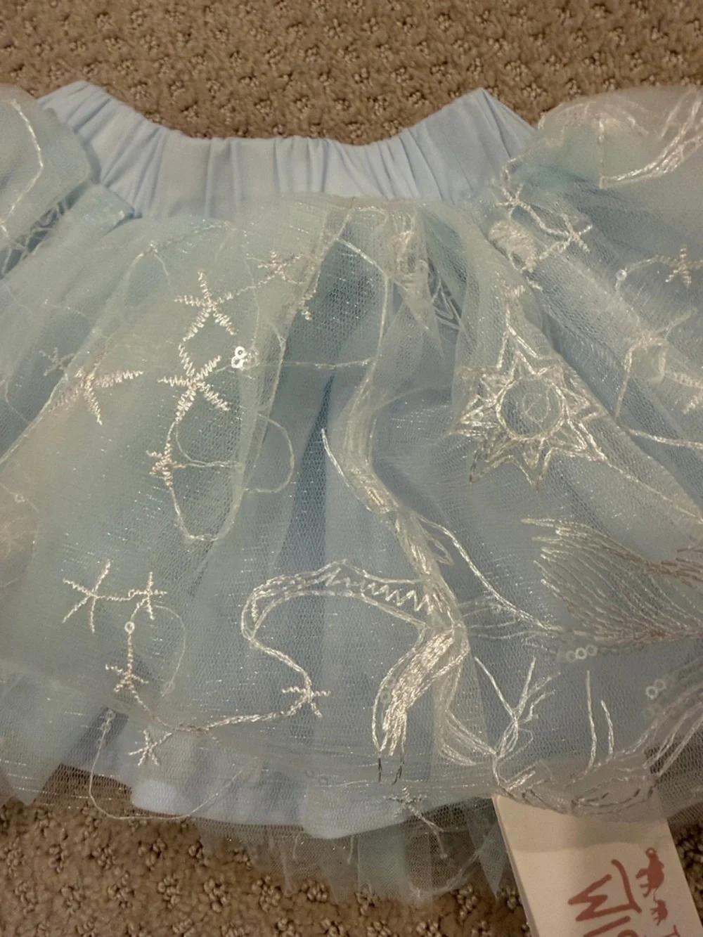 Light Blue Embroidered Tulle Tutu Skirt